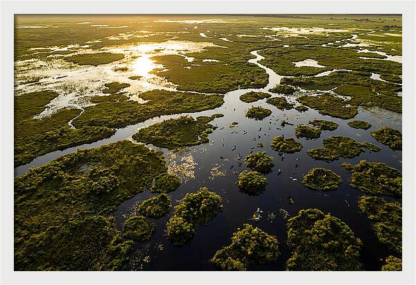 Bangweulu Wetlands From Above