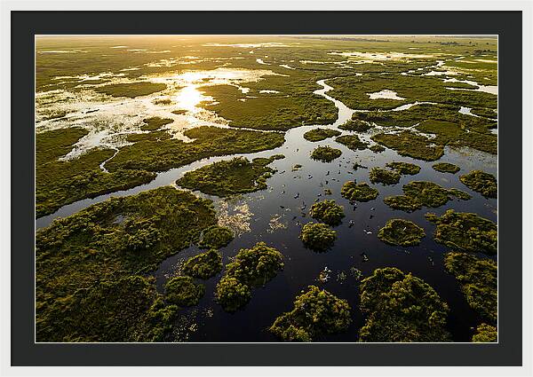 Bangweulu Wetlands From Above