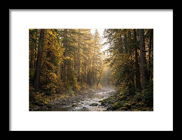 Bankhead Wilderness Serenity