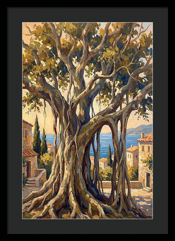 Banyan Tree By The Mediterranean