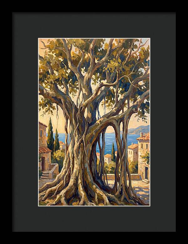 Banyan Tree By The Mediterranean