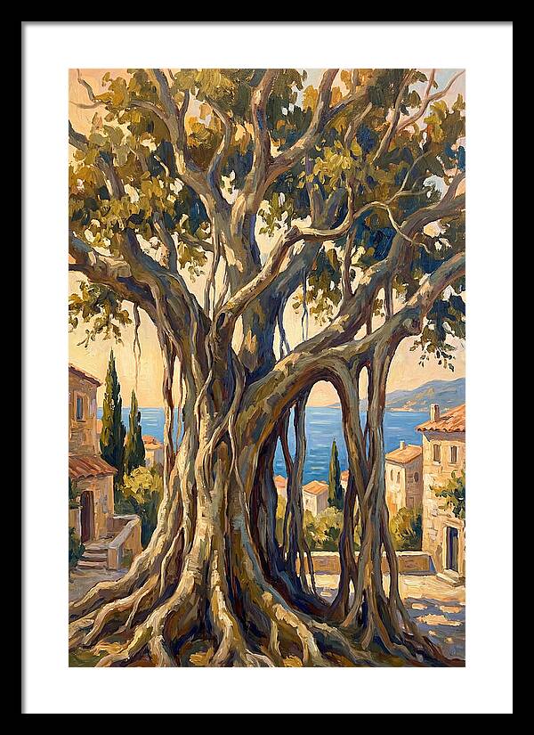 Banyan Tree By The Mediterranean