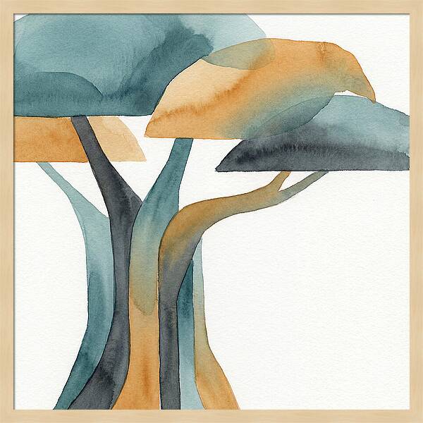 Banyan Tree Serenity