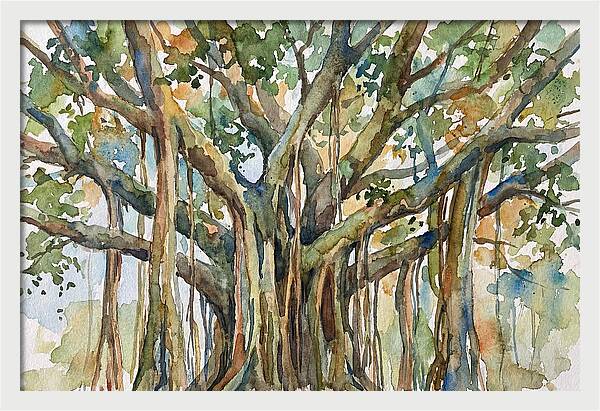 Banyan Tree Tranquility