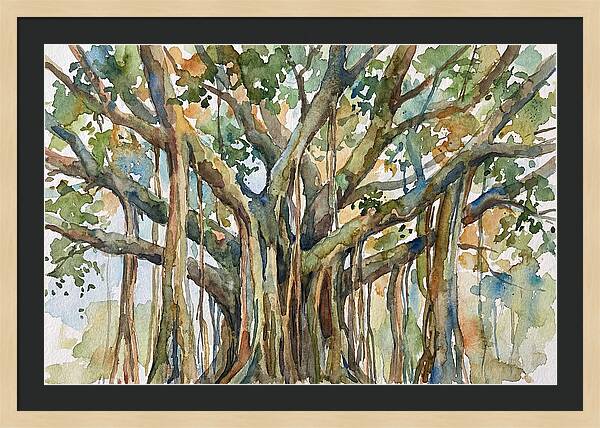 Banyan Tree Tranquility