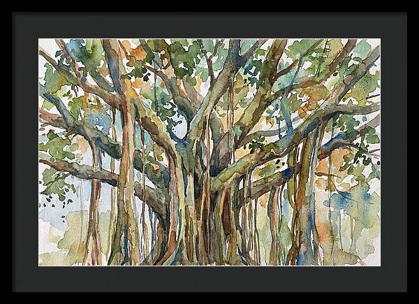Banyan Tree Tranquility