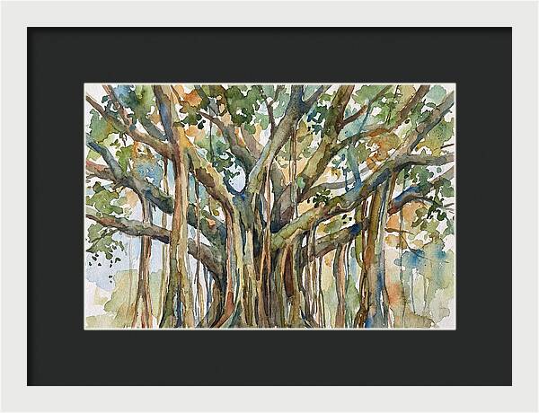 Banyan Tree Tranquility