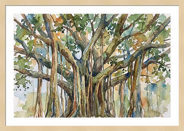 Banyan Tree Tranquility
