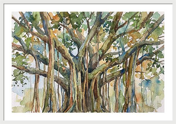 Banyan Tree Tranquility