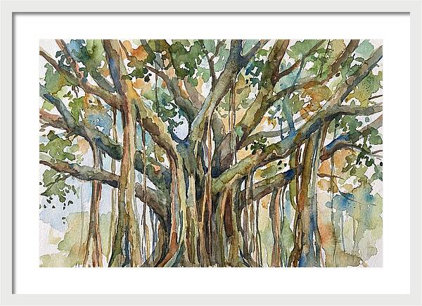 Banyan Tree Tranquility