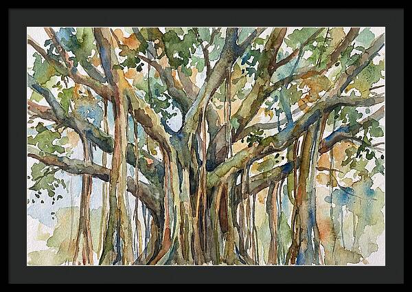 Banyan Tree Tranquility