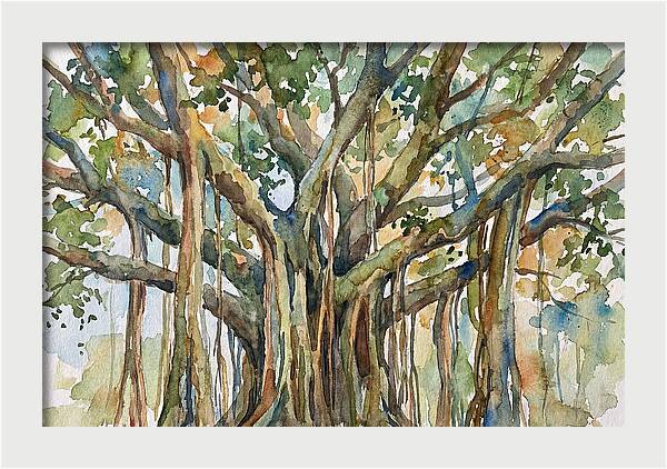 Banyan Tree Tranquility