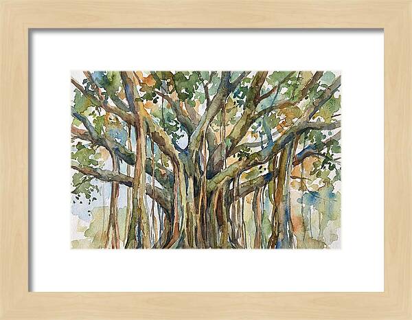 Banyan Tree Tranquility