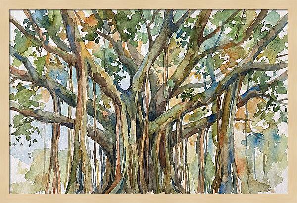 Banyan Tree Tranquility