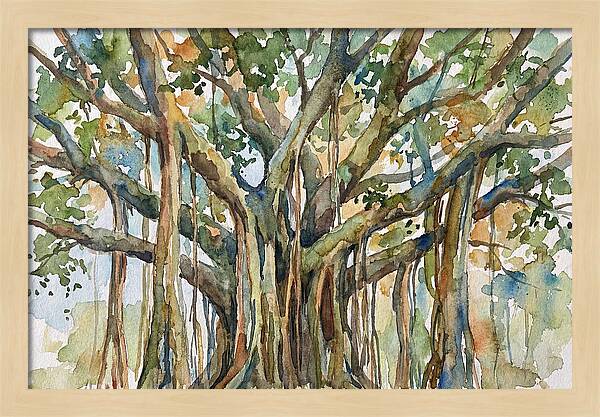 Banyan Tree Tranquility