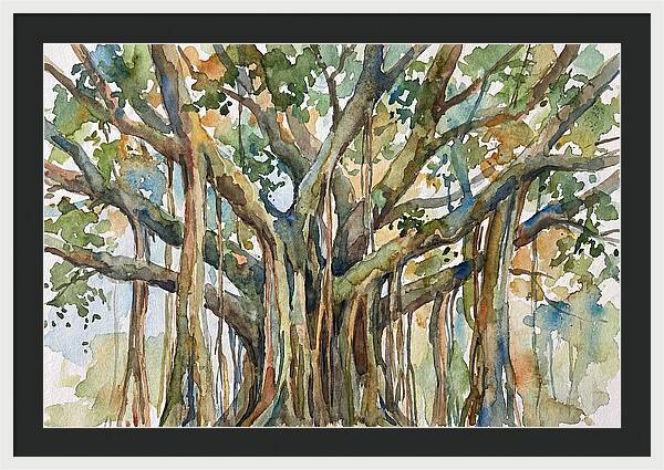 Banyan Tree Tranquility