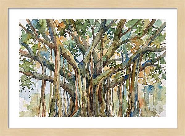 Banyan Tree Tranquility