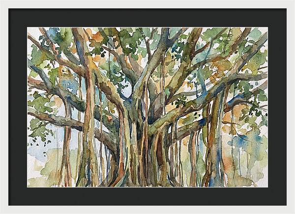 Banyan Tree Tranquility