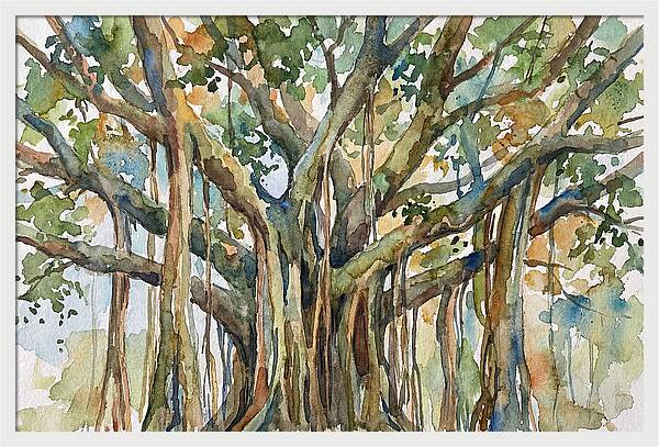 Banyan Tree Tranquility