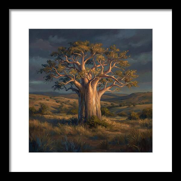 Baobab Tree