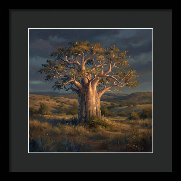 Baobab Tree