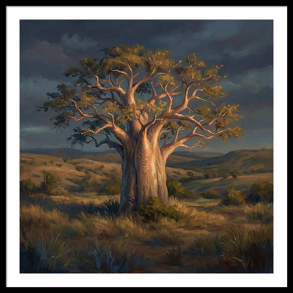 Baobab Tree