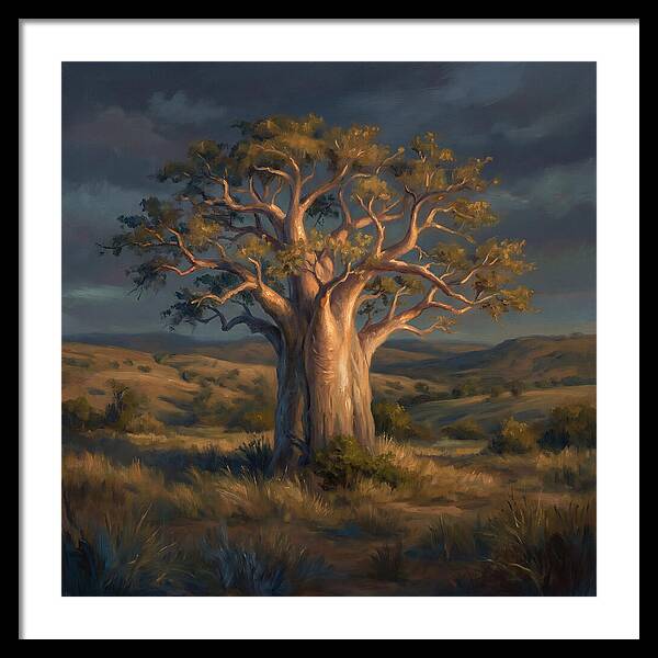 Baobab Tree