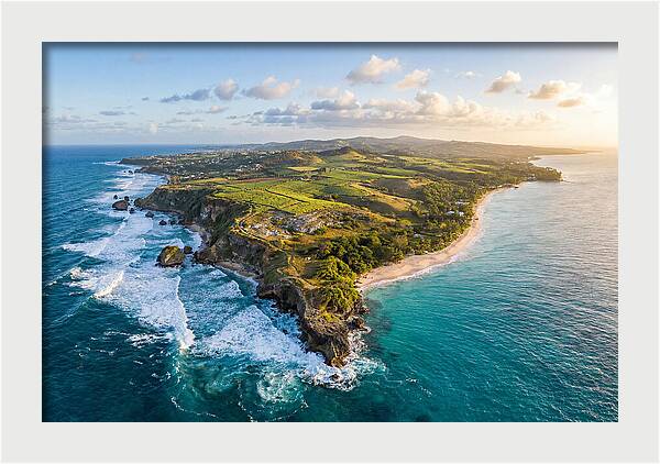 Barbados Coastal Serenity