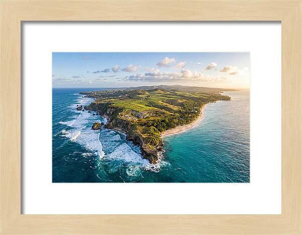 Barbados Coastal Serenity