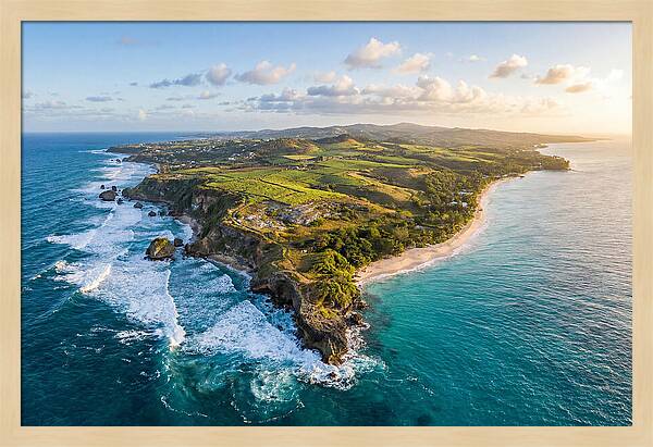 Barbados Coastal Serenity