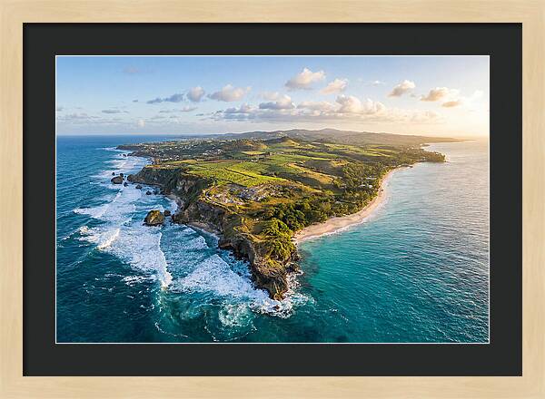 Barbados Coastal Serenity
