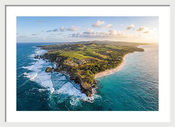 Barbados Coastal Serenity