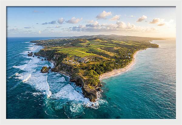 Barbados Coastal Serenity