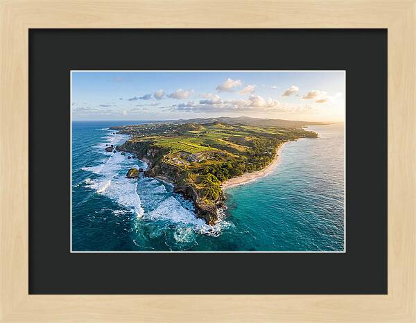 Barbados Coastal Serenity