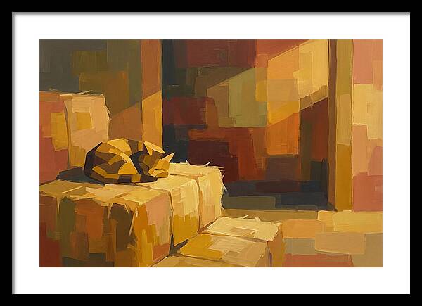 Barn Cat Napping In Sunlight