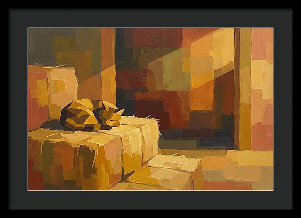 Barn Cat Napping In Sunlight