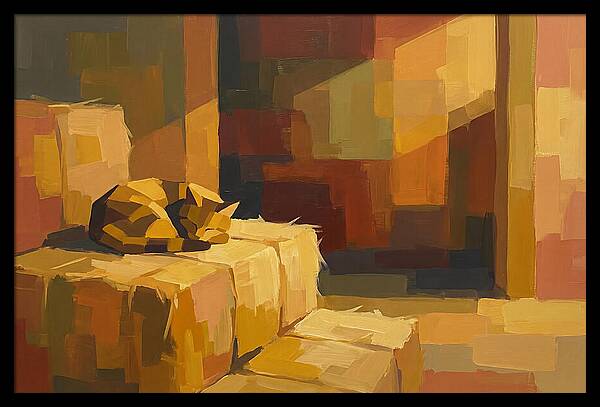 Barn Cat Napping In Sunlight
