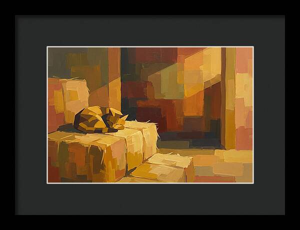 Barn Cat Napping In Sunlight