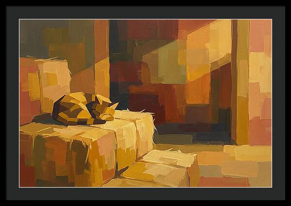 Barn Cat Napping In Sunlight