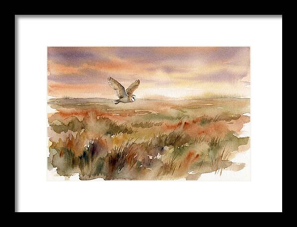 Barn Owl Gliding Over Grassland