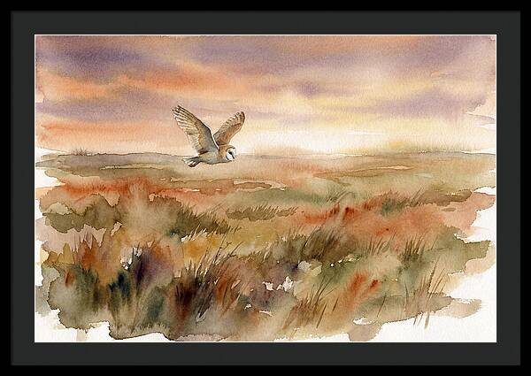 Barn Owl Gliding Over Grassland