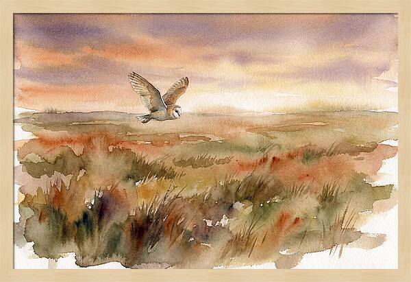 Barn Owl Gliding Over Grassland