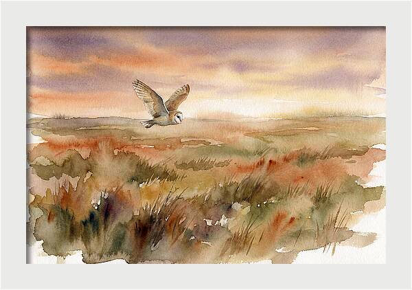 Barn Owl Gliding Over Grassland