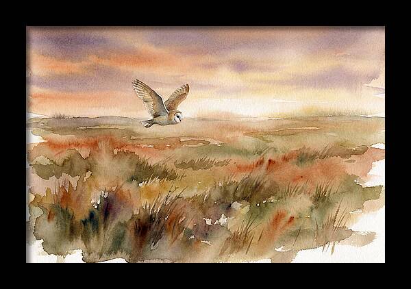 Barn Owl Gliding Over Grassland