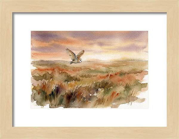 Barn Owl Gliding Over Grassland