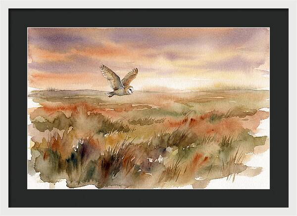 Barn Owl Gliding Over Grassland