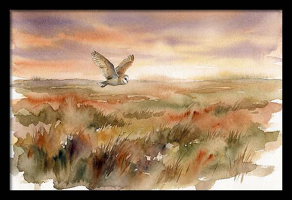 Barn Owl Gliding Over Grassland
