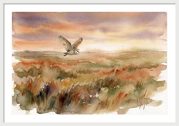 Barn Owl Gliding Over Grassland