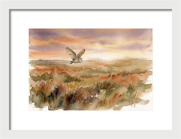 Barn Owl Gliding Over Grassland