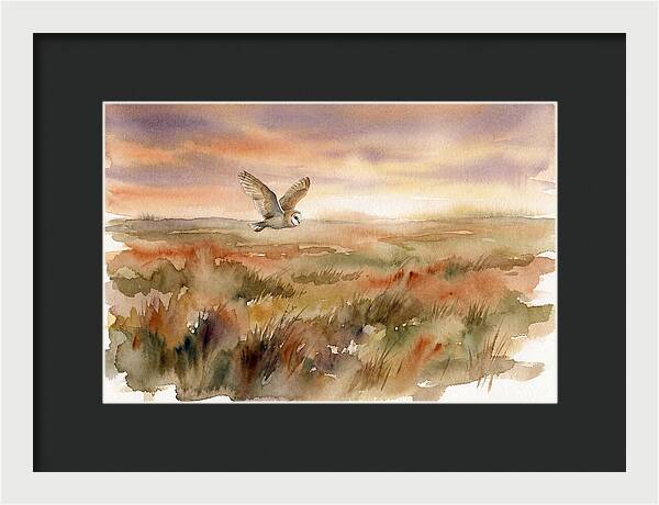 Barn Owl Gliding Over Grassland